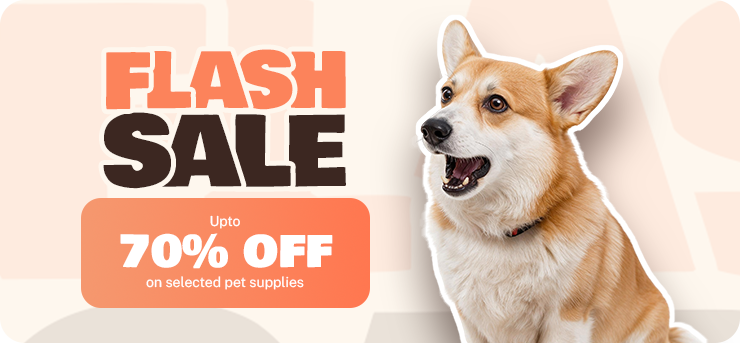 Coupon Banner